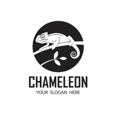 beyaz arkaplanda izole edilmiş bukalemun sürüngen simgesi