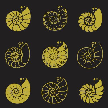 Siyah arkaplanda izole edilmiş nautilus kabuğunun altın etiketleri koleksiyonu