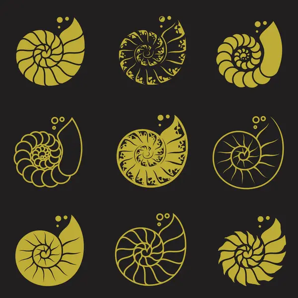 Siyah arkaplanda izole edilmiş nautilus kabuğunun altın etiketleri koleksiyonu