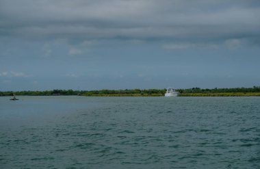 Tekne turu. Delta Petit-Rhne Nehri, Camargue, Fransa. Boşluğu kopyala.