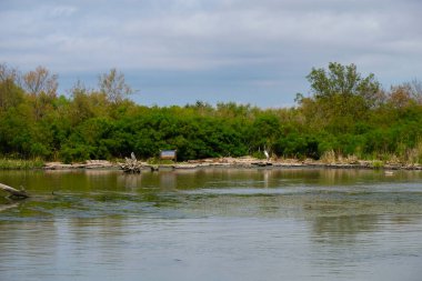 Delta Petit Rhne Nehri, Camargue, Fransa. 12 Eylül 2022. Tekne turu. Doğal ortamda kuşlar. Turist bilgili ahşap tahta..