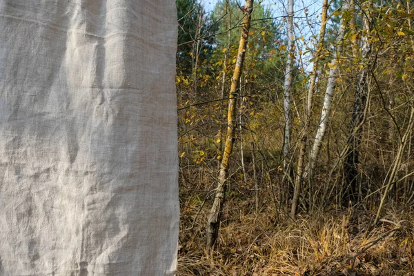 Organická Konopná Tkanina Podzimním Lesním Pozadí Přirozený Životní Styl Kopírovat — Stock fotografie