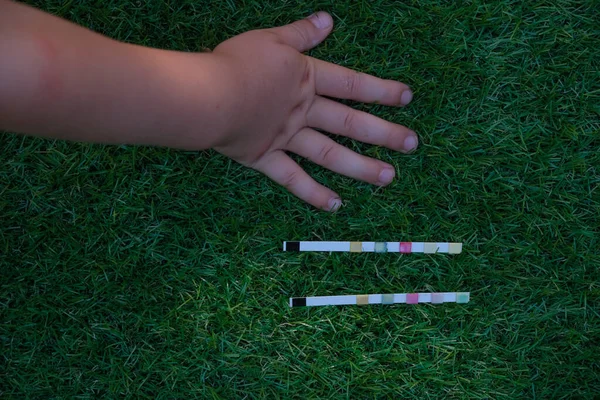 Child\'s hand. Test strips on the artificial grass. Acid-base balance.