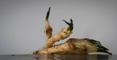 Metal bir yüzeyde yabanturpu kökleri.