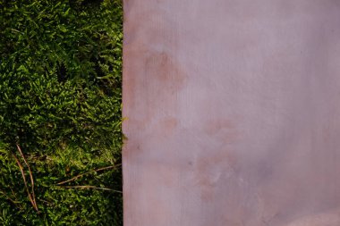 Bakır arka plan. Yeşil yosun. Boşluğu kopyala.