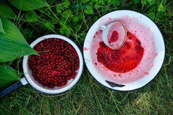 Red currants are in bowls. Crushed berries. Overturned cup.