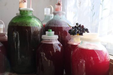 Grapes. Grape wine fermentation in glass jars. Making homemade wine.