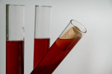 Three test tubes of red wine. Artificial wine cork. Copy space.