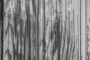 Tahta doku. Kırsal ahşap doku. Ahşap arka. Soyulmuş boya. 