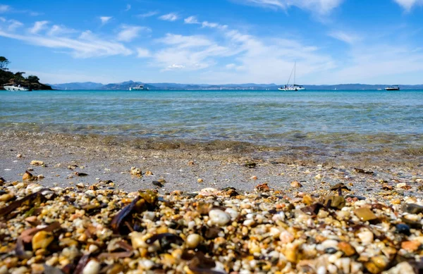 Porquerolles Adası 'nın deniz ve plajı. Akdeniz 'de. Fransa. 