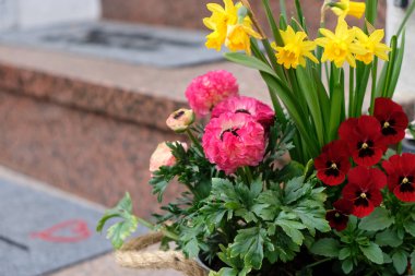 İlkbaharda çeşitli çiçekler kapı basamaklarını süsler. Ev dekorasyonu konsepti. Boşluğu kopyala.