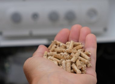 Kadının elinde ahşap yakıtlar var. Boşluğu kopyala.