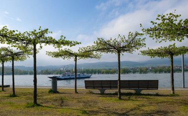 Feribot geçiyor. Ingelheim Limanı. Bekleme şeridinde bir bank. 52 metre uzunluğundaki Michael feribotu Ingelheim ile Almanya 'nın Oestrich-Winkel şehirleri arasında uzanıyor..