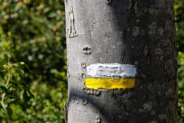 Fransa 'daki ağaç gövdesindeki turist rotasını işaretliyor. Yürüyüş yolu sarı ve beyazla işaretlenmiş. Boşluğu kopyala.