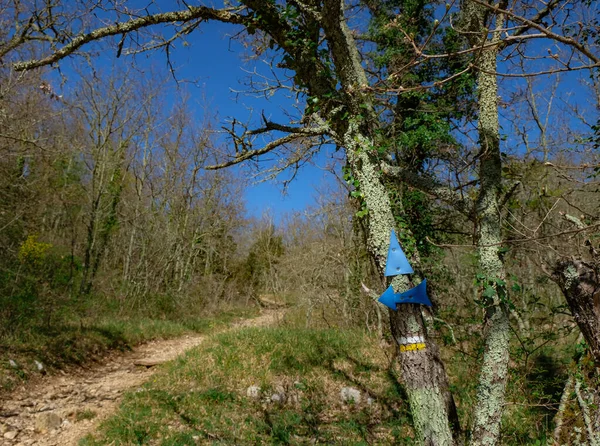 森の中の木の幹に観光ルートをマーク 黄色と白でマークハイキングコース 青い矢印と三角形をマークします フランスのプロバンス — ストック写真