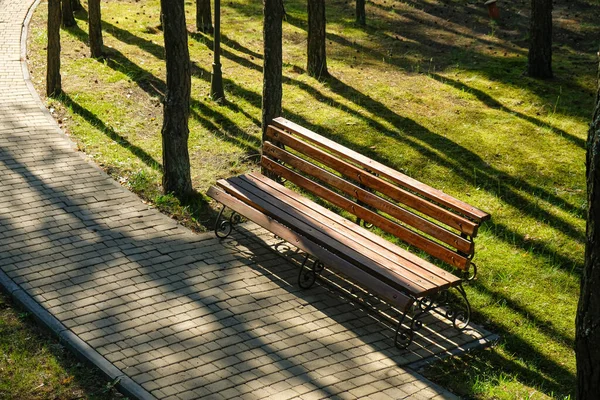 Drewniana Ławka Bruk Brukowy Między Sosnami Zakrzywiona Ścieżka Promienie Słońca — Zdjęcie stockowe