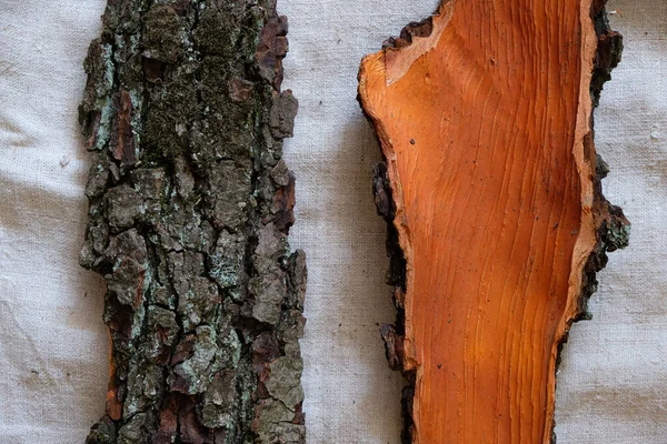 Red Bark Oak Hemp Fabric Canvas Top View Copy Space — Stock Photo, Image