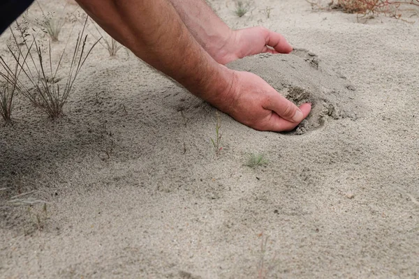 Пальми Повні Чистого Піску Сильні Чоловічі Руки Копіювальний Простір — стокове фото
