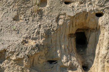 Swift 'in kuş yuvası. Boşluğu kopyala.