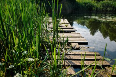 Eski kırık tahta köprü. Sazlıklar. Nehir ya da göl. Yansıma.