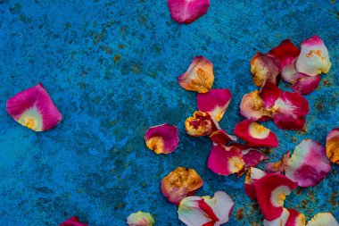 Paslı mavi arka planda Rose 'un yaprakları. Boşluğu kopyala.