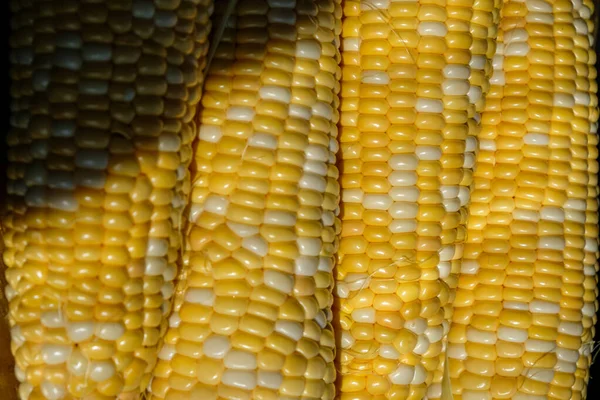 Frischer Mais Aus Biologischem Anbau Gelb Und Weiß Sonnenschatten — Stockfoto