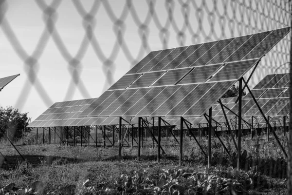 View through the grid to the solar panels. Agrovoltaics for farmers and agriculture. Black and white.