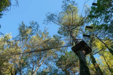 Ağaç tepesi. Macera Parkı. Eğlence amaçlı ağaç tırmanışı.