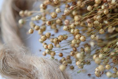 Keten tohumları. Doğal renksiz keten, çekici. Sığ alan derinliği.