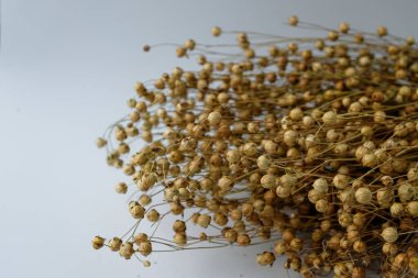 Keten tohumları. Buket. Gri arka plan. Boşluğu kopyala.