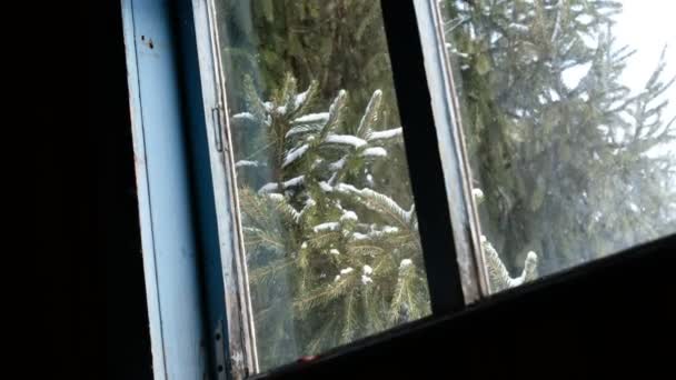 Śnieżny Świerk Wiatr Stare Drewniane Okno Poddaszu Jodła Dom Tym — Wideo stockowe