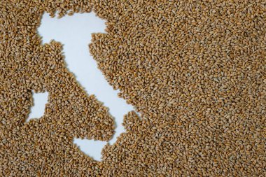İtalya haritası buğday taneleriyle dolu. Boşluğu kopyala.