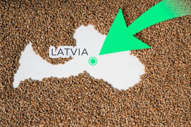 Letonya haritası buğday taneleriyle dolu. Yön yeşil ok. Metin için boşluk.
