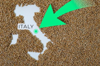 İtalya haritası buğday taneleriyle dolu. Yön yeşil ok. Boşluğu kopyala.