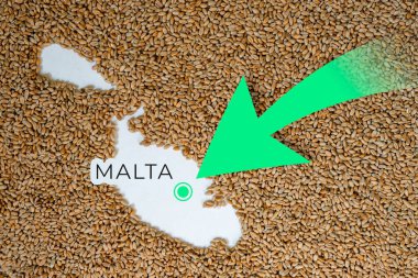 Buğday taneleriyle dolu Malta haritası. Yön yeşil ok. Metin için boşluk.