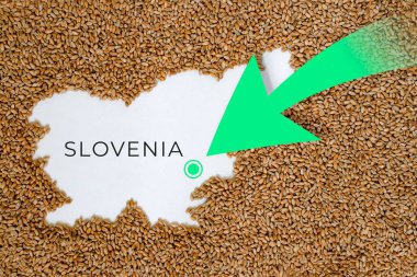 Slovenya haritası buğday taneleriyle dolu. Yön yeşil ok. Metin için boşluk.