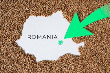 Romanya haritası buğday taneleriyle dolu. Yön yeşil ok. Boşluğu kopyala.