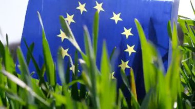 Avrupa Birliği bayrağı buğday tarlasında dalgalanıyor. İlkbahar. Tahıl ekme.