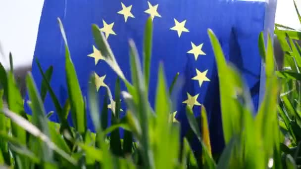 Σημαία Της Ευρωπαϊκής Ένωσης Κυματίζει Στον Τομέα Του Σιταριού Άνοιξη — Αρχείο Βίντεο