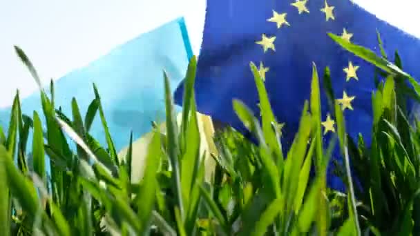 欧洲联盟的旗帜 乌克兰国旗 春天的麦田 — 图库视频影像