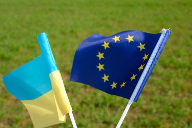 Avrupa Birliği bayrağı. Ukrayna bayrağı. Baharda buğday tarlası.