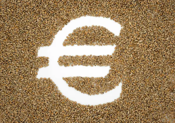 Euro symbol. Wheat. Grain. Agricultural policies EU. Top view.