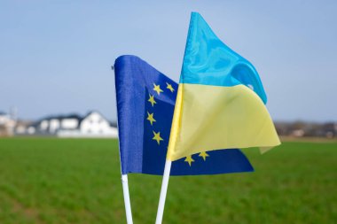 Avrupa Birliği bayrağı. Ukrayna bayrağı. Baharda buğday tarlası. Zengin bir köyün bulanık arka planı. Ukrayna, Avrupa Birliği 'ne katılım adayı statüsüne sahip.