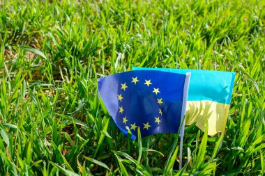 Avrupa Birliği bayrağı. Ukrayna bayrağı. Buğday tarlası. Ukrayna, Avrupa Birliği 'ne katılım adayı statüsüne sahip.