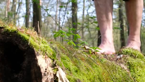 男はモスの上で裸足を歩いている 森林リラックス ジョギング — ストック動画