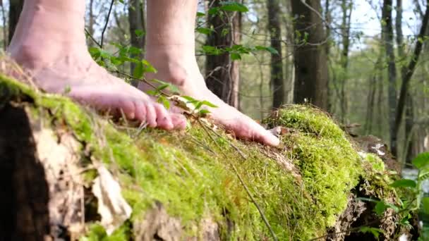 男はモスの上で裸足を歩いている 森林リラックス ジョギング 自然療法のコンセプト 足のソックスマーク — ストック動画