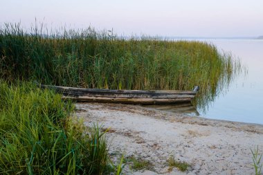 Sabah sazlıkta eski ahşap bir tekne. Doğal kumlu plaj. Svityaz Gölü 'nde sakin ol, Volyn, Ukrayna. Shatsky Ulusal Doğa Parkı. Boşluğu kopyala.