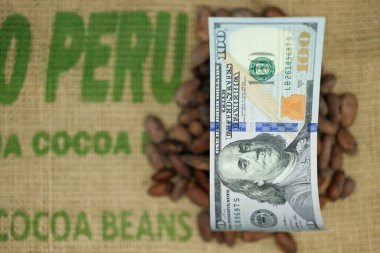 United States Dollar or American Dollar. Blurred Peruvian cocoa beans and jute sack background. The price of cocoa beans. Copy space. clipart