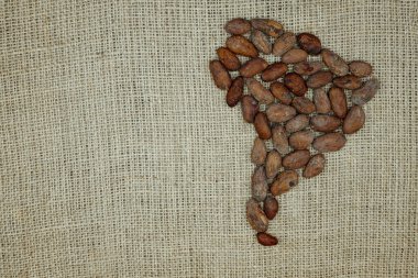 Güney Amerika haritası kakao çekirdeği ile yapılmış jute branda arka planda. Boşluğu kopyala.