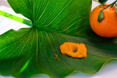 Smear of citrus body scrub on bright green leaf background. Tangerine fruit. Natural and rejuvenating skincare practices, using fruit-based ingredients. Copy space. Shallow depth of field. clipart